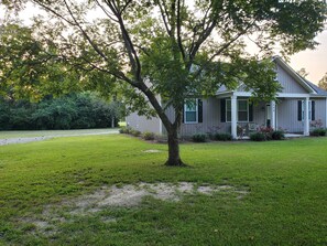 Front and driveway