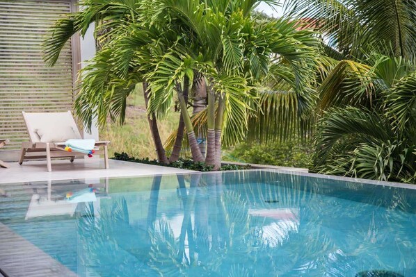 Villa Pool at WV CBA, Grand Cul de Sac, St. Barthelemy