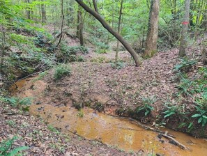 Take a short hike through the woods to the little stream. Peaceful and private!