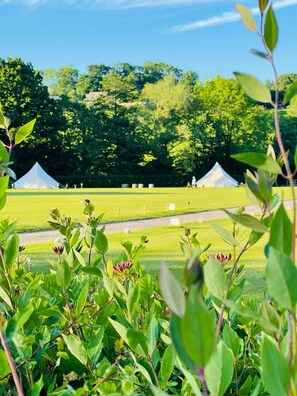 Our award winning luxury bell tent area with outdoor fire pit , barbecue hire 