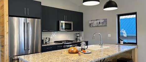 Well Equipped Modern kitchen with Granite and Stainless Appliances