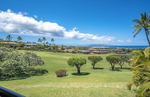Beautiful View From Lanai