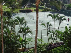 2 of 6 Championship Tennis Courts