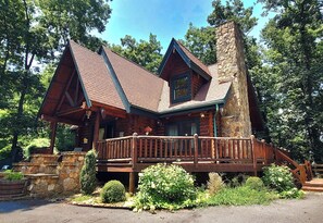 Main Image
