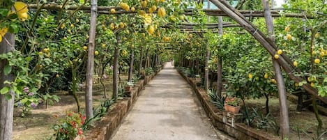 Jardines del alojamiento