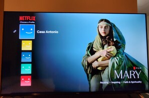 Television