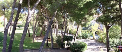 Parco della struttura