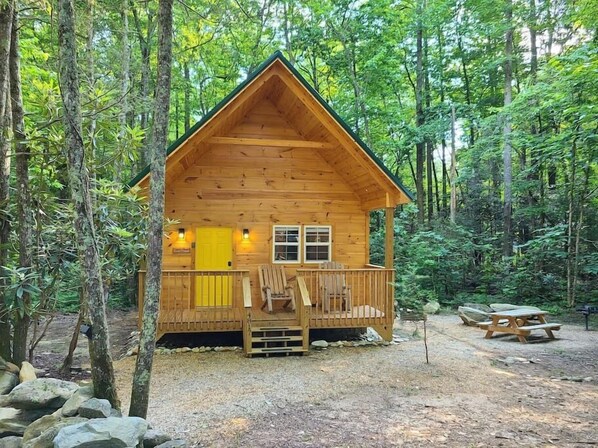 Laurel Haven & the outdoor space