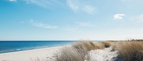 Sun Résidences, la plage vue des dunes. 