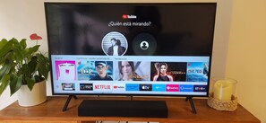 Fernseher