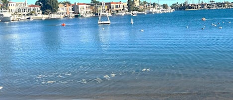 Here's your view, 75 steps from the back door to the beautiful Alamitos Bay.