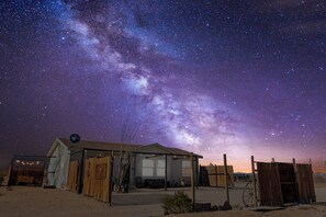 Experience the magic of winter in Joshua Tree