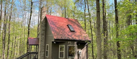 Wildcat Forest -- delightful small cabin in the woods