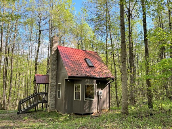 Wildcat Forest -- delightful small cabin in the woods