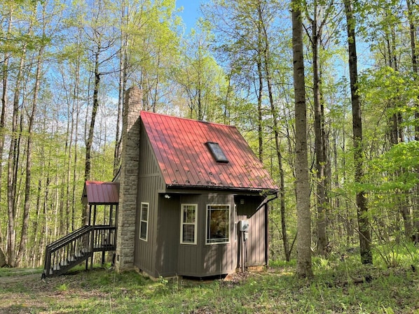 Wildcat Forest -- delightful small cabin in the woods