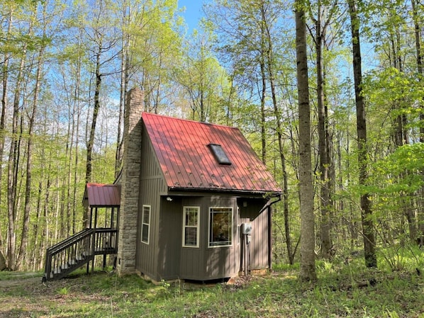 Ulkopuoli