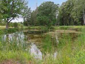 Boendeområde