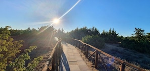 Himmel, Pflanze, Natürliche Landschaft, Holz, Sonnenlicht, Durchgangsstrasse, Baum, Gras, Strasse, Landschaft