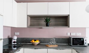 The fully equipped kitchen