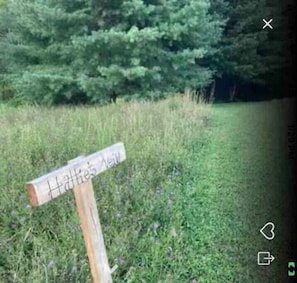 Miscelánea