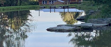 Rear view taken from back of pond.