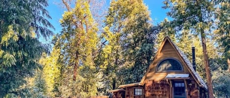 The cutest storybook cabin you ever did see!