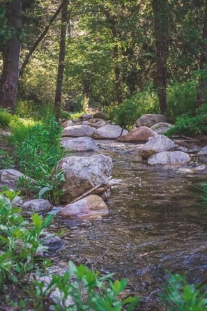 Views of the creek can be enjoyed from the deck. The creek is fully accessible if you would like to take a dip! 