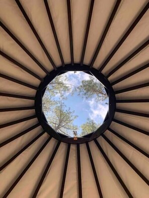 View from your bed. Wake up to towering pines whispering good morning, and drift off to sleep gazing at the stars through this skylight dome.