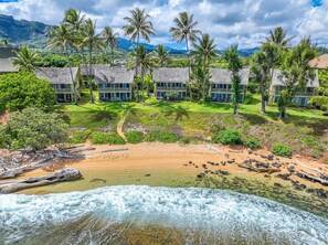 Vintage Hawaiian Vibe at Kapaa Sands.