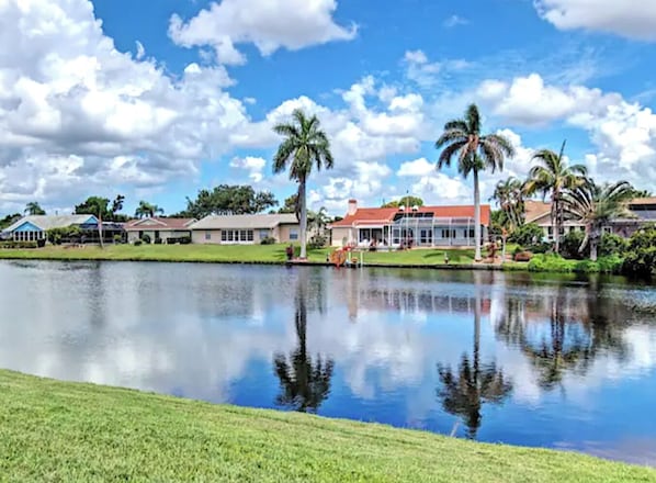 Lake view with tropical palms.