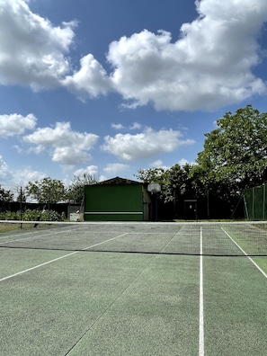 Terrain de sport