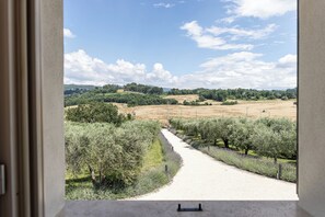 Vista desde la habitación