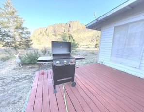 Grill