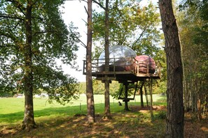 Außenseite Ferienhaus [Sommer]