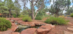 Enjoy the trickle of the small brook in your backyard