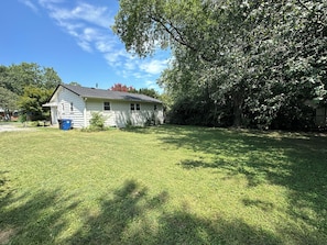 Back yard