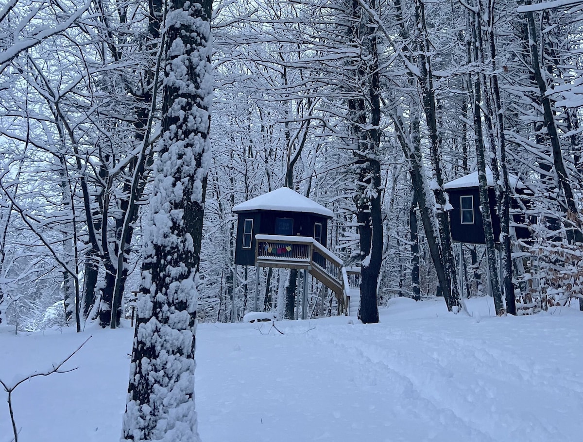 Treehouse at Wise Pines- SoBo