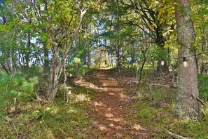 Trail up to the Hideout - lit by string lights until 9pm