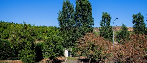 Parco della struttura