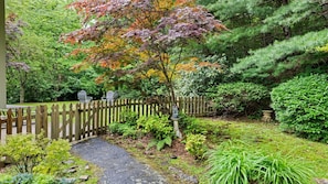 Walking to the fenced in Side yard