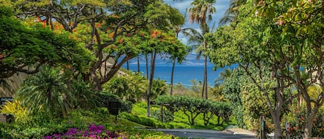 The Blue Hula at Maui Kamaole with a Ocean View
