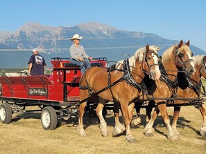 Wagon rides, call Kenn at 406-833-0714 for prices & availability. (neighbors)