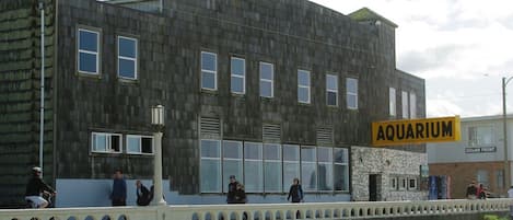 Seaside Aquarium