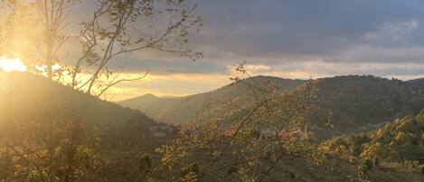 Autumn view from back porch
