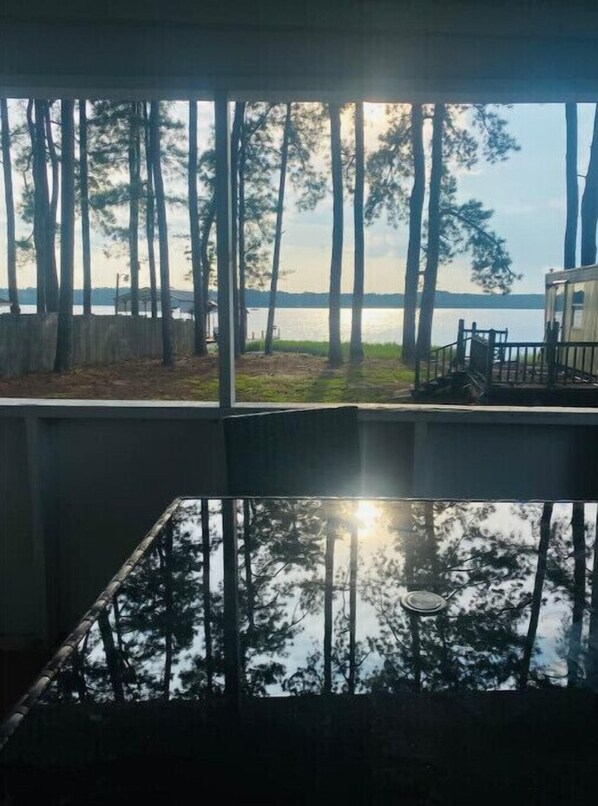 Enjoying the view