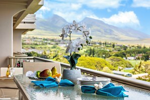 View from Private Balcony
