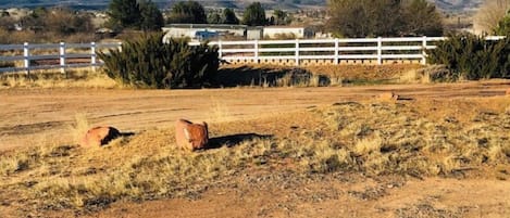 Terrenos do alojamento