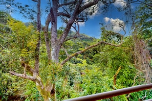 Vue depuis l’hébergement