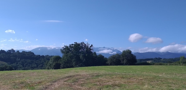 Boendeområde