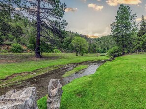 Carrizo Creek Views